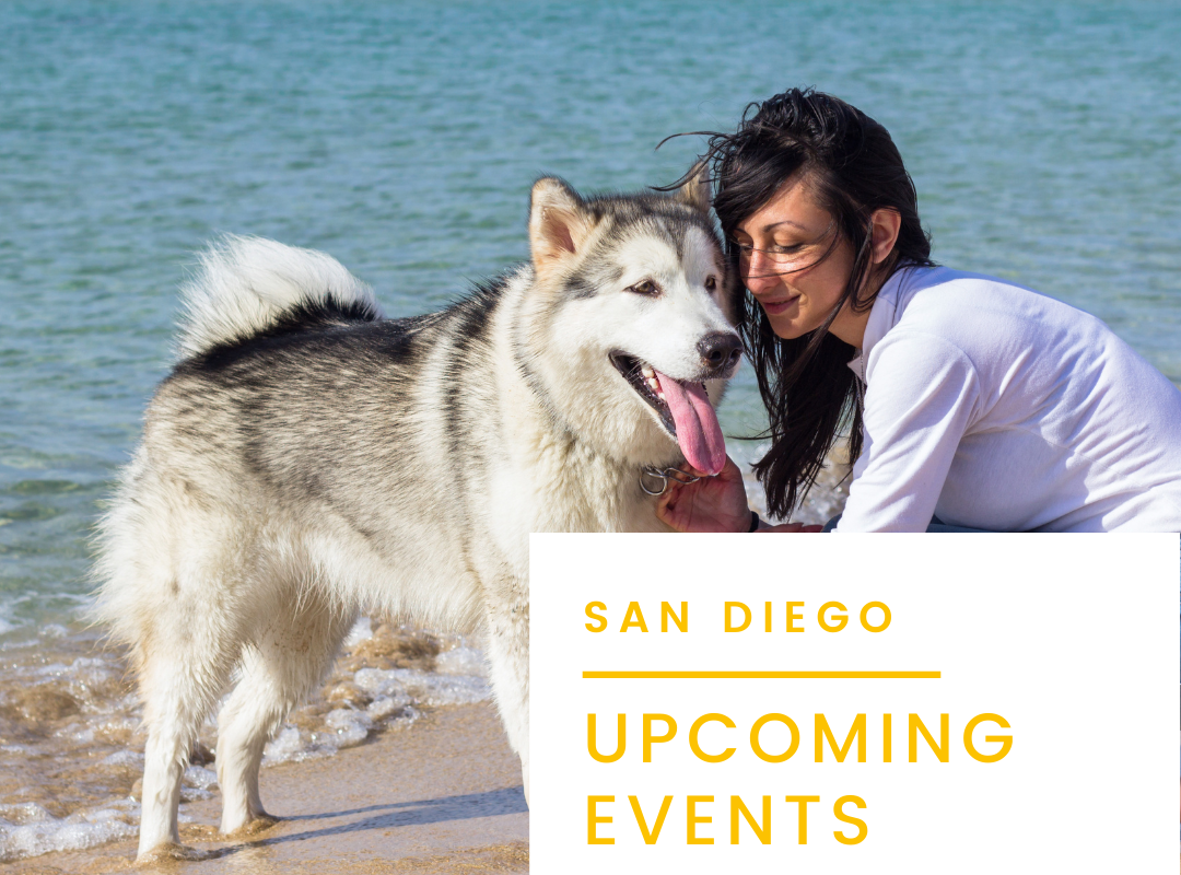 Events in San Diego