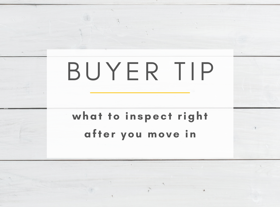 Buyer Tip